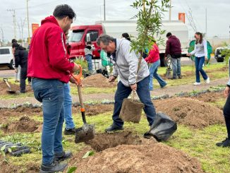 Con éxito concluye la Campaña de Reforestación "Árboles Fuertes, Huellas Gigantes 2025"; más de 125 mil árboles se plantaron en Aguascalientes este año