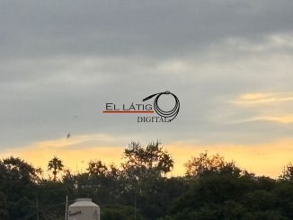 Buen Día...!!