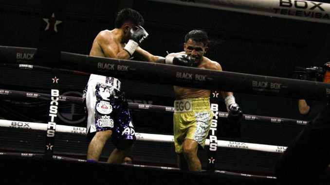 💀🥊 Con gran éxito se realizó la función “Box y Calaveras”