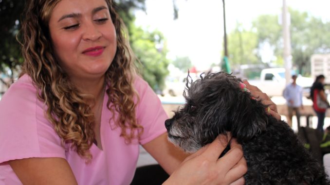 Servicios veterinarios gratuitos este viernes en La Congoja, San José de Gracia