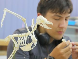 Colección Zoológica UAA: más de 40 mil organismos de diferentes especies cuentan la historia de la vida