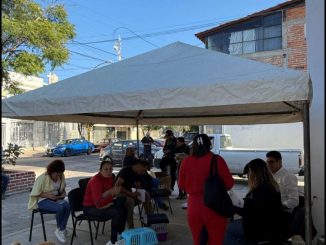 Llevarán Jornadas de esterilización canina y felina a Guadalupe Peralta, Pintores Mexicanos y Ojo de Agua