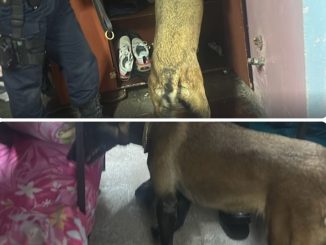 Policía Municipal refuerza acciones preventivas en Centros de Rehabilitación