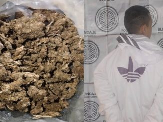 Policías Estatales de Aguascalientes detienen a sujeto en poder de una bolsa con hierba verde al parecer marihuana