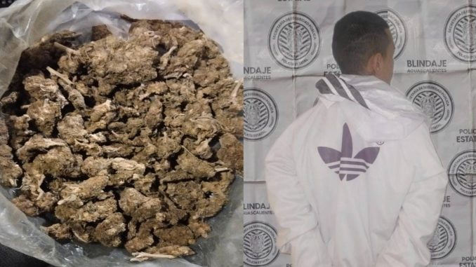 Policías Estatales de Aguascalientes detienen a sujeto en poder de una bolsa con hierba verde al parecer marihuana