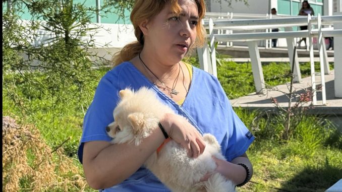 Anuncian nuevas fechas del Quirófano Veterinario Móvil del Municipio de Aguascalientes