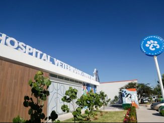Hospital Veterinario Municipal ya tiene Página de Internet