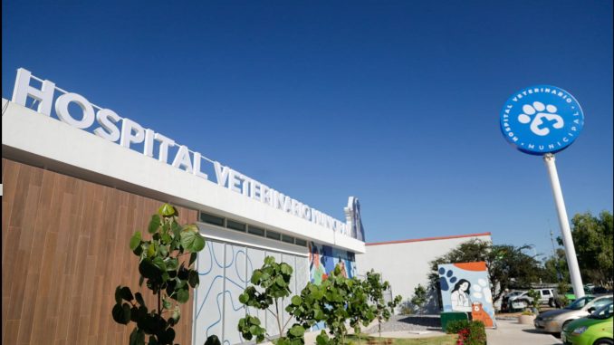 Hospital Veterinario Municipal ya tiene Página de Internet