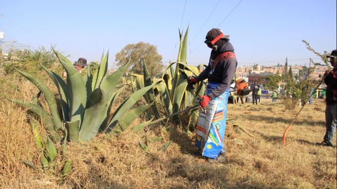 Municipio de Aguascalientes ejecuta Mega Operativo de limpieza en el suroriente de la Ciudad