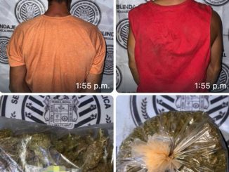 Elementos del Mando Coordinado detuvieron en el Municipio de Calvillo a dos sujetos en poder de bolsas que contenían hierba verde seca al parecer marihuana