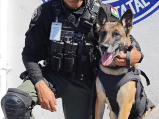 ¿Ya conoces a la policía del Grupo K9?