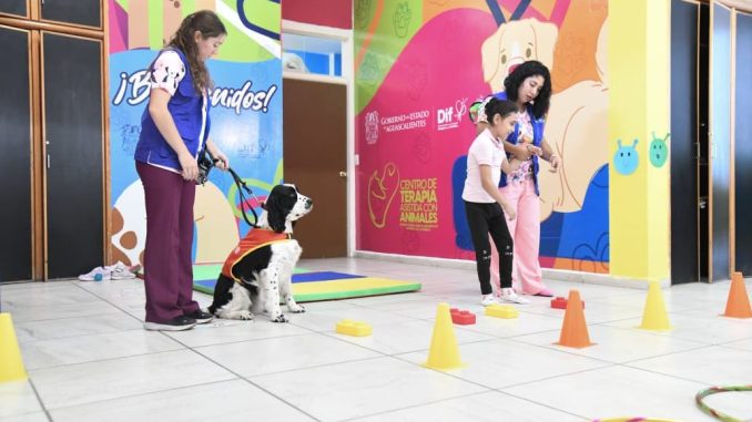 Animales que cambian vidas: conoce el Centro de Terapia Asistida del DIF Estatal, pionero a nivel Nacional
