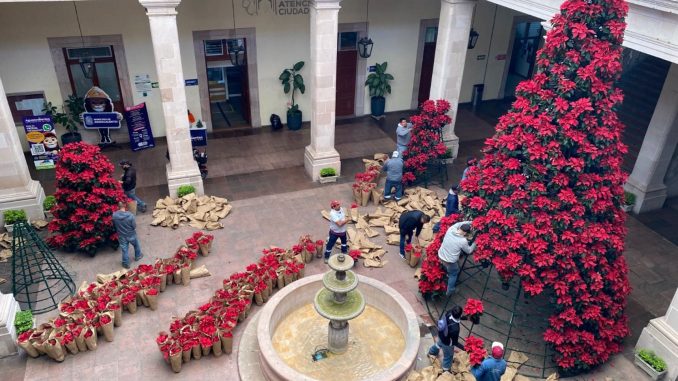 Coloca Municipio de Aguascalientes en el primer cuadro de la Ciudad flores de Nochebuena