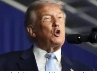 Trump indulta a republicana condenada por manipular máquinas de votación en Colorado