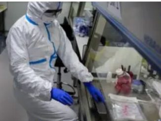 México no tiene casos de influenza A H3N2 subclado K, según el gobierno