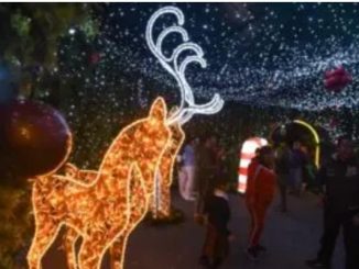Estados Unidos buscaría detener a migrantes que intenten volver a México a pasar Navidad, según medios