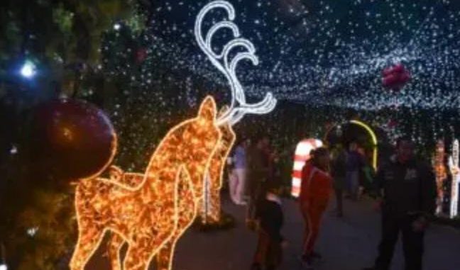 Estados Unidos buscaría detener a migrantes que intenten volver a México a pasar Navidad, según medios