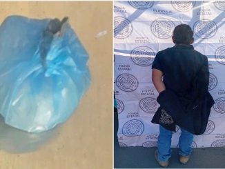 Policías del Mando Coordinado detienen en el Municipio de Asientos a sujeto con envoltorio que contenía sustancia granulada al parecer cristal