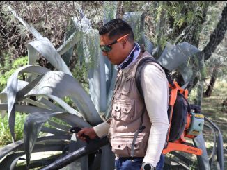 A través del Programa "Manos al Arroyo" se fortalece la protección al Medio Ambiente