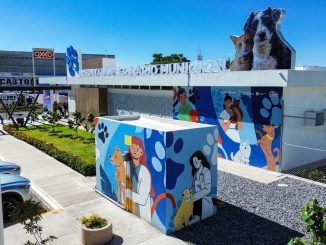 Mil 872 servicios brindó el Hospital Veterinario municipal este 2025