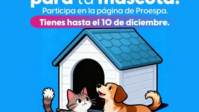 🐶🐱 Tu mascota podría estrenar una casita