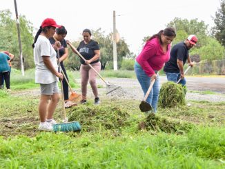 Con el Programa de Empleo Temporal, Mujeres del campo acceden a más oportunidades y mejores ingresos