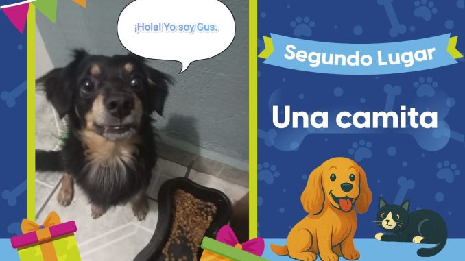 Ellos son los ganadores de nuestra segunda dinámica