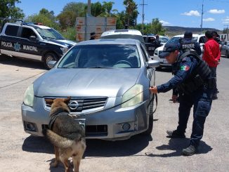 Arranca operativo para recibir a paisanos que regresan a pasar las fiestas decembrinas