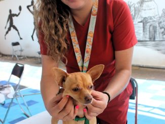 Con más de 20 mil acciones, en Aguascalientes se promueve el cuidado animal