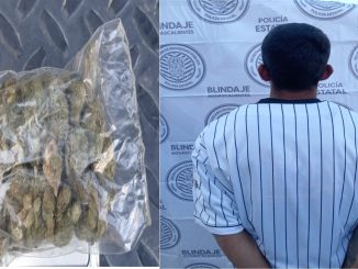 Personal del Mando Coordinado detienen a sujeto en poder de una bolsa que contenía hierba verde al parecer marihuana