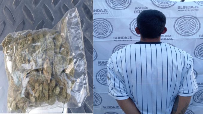 Personal del Mando Coordinado detienen a sujeto en poder de una bolsa que contenía hierba verde al parecer marihuana