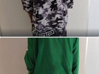 Dos personas fueron detenidas por el delito de robo en el fraccionamiento Los Pericos