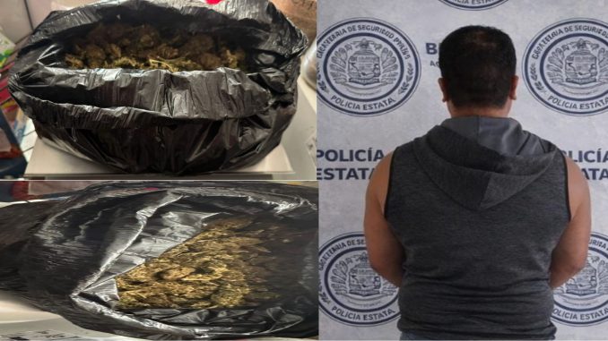 Policías Estatales detienen a sujeto en poder de dos kilogramos de hierba verde al parecer marihuana