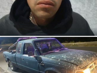 Policía Municipal detiene a una persona por robo equiparado en VNSA