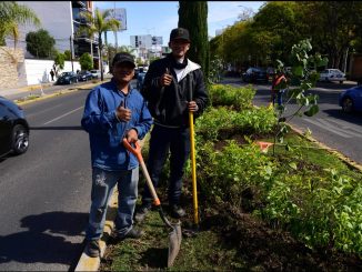 Fortalece Municipio de Aguascalientes la imagen urbana con trabajos de plantación y rehabilitación de áreas verdes