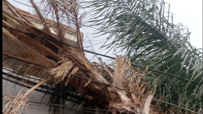 Emite Protección Civil recomendaciones ante la presencia de ráfagas de viento