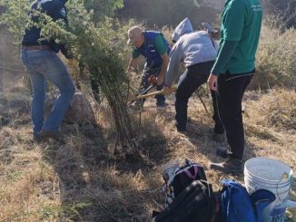Realizará Municipio de Aguascalientes actividades educativas y culturales con motivo de la Semana de la Educación Ambiental