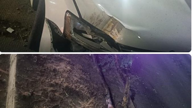 Policías Viales atienden choque contra objeto fijo en Av. Eugenio Garza Sada