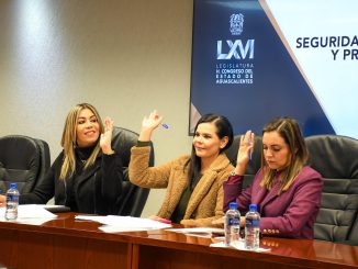 Aprobaron en Comisiones, iniciativas en materia de Protección a grupos vulnerables ante siniestros, de igualdad y equidad de género