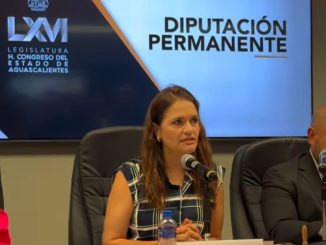 Al conducir, no lleves a tu mascota en brazos, puedes provocar un accidente: Alma Hilda