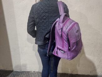 Una Mujer es detenida por daños a propiedad ajena en la zona centro
