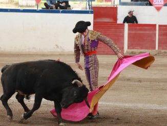 Con éxito se realizó la Copa Aguascalientes “El Sueño de Ser Torero”