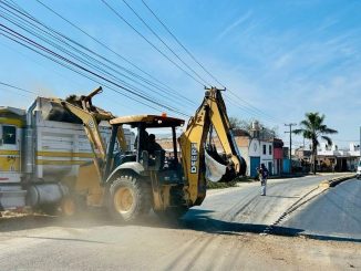 Estamos realizando trabajos de bacheo y limpieza: Tere Jiménez