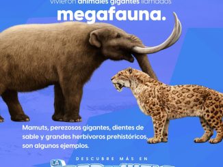 Ven a descubrir uno de los periodos más fascinantes de la historia del planeta 🌍.