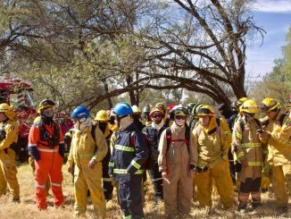 ¡Trabajando juntos por la conservación del medio ambiente!♻️🐢💫