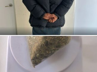 Sujeto en posesión de enervantes es detenido por la Policía Municipal en el fraccionamiento Los Volcanes