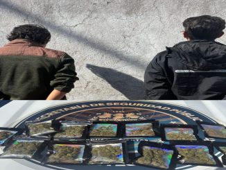 Policías Estatales detienen a dos sujetos en poder de hierba verde que dio un peso aproximado de 140 grs