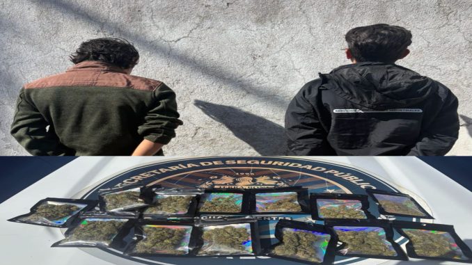 Policías Estatales detienen a dos sujetos en poder de hierba verde que dio un peso aproximado de 140 grs