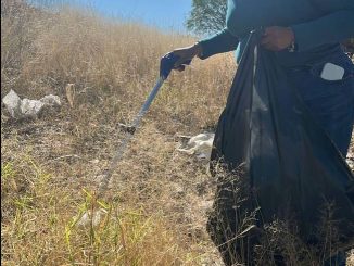 Municipio realiza actividades de limpieza en los Arroyos "Los Arellano" y "El Morelos"