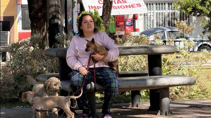 Llevarán a cabo Jornadas de esterilización caninas y felinas en Guadalupe Peralta y en La Purísima